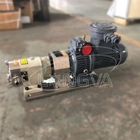 Sanitary Rotor Pump
