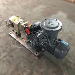 Sanitary Rotor Pump