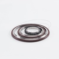 Vacuum O-Ring