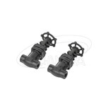 Запорный клапан из кованой стали NPT (SW)