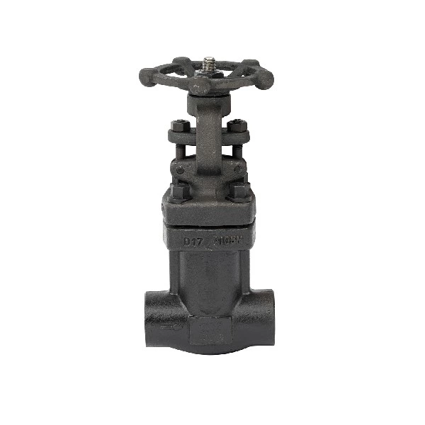 Forged steel NPT(S.W) Gate Valve