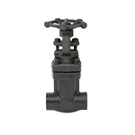 Forged steel NPT(S.W) Gate Valve