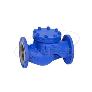 Stainless Steel Horizontal check valve
