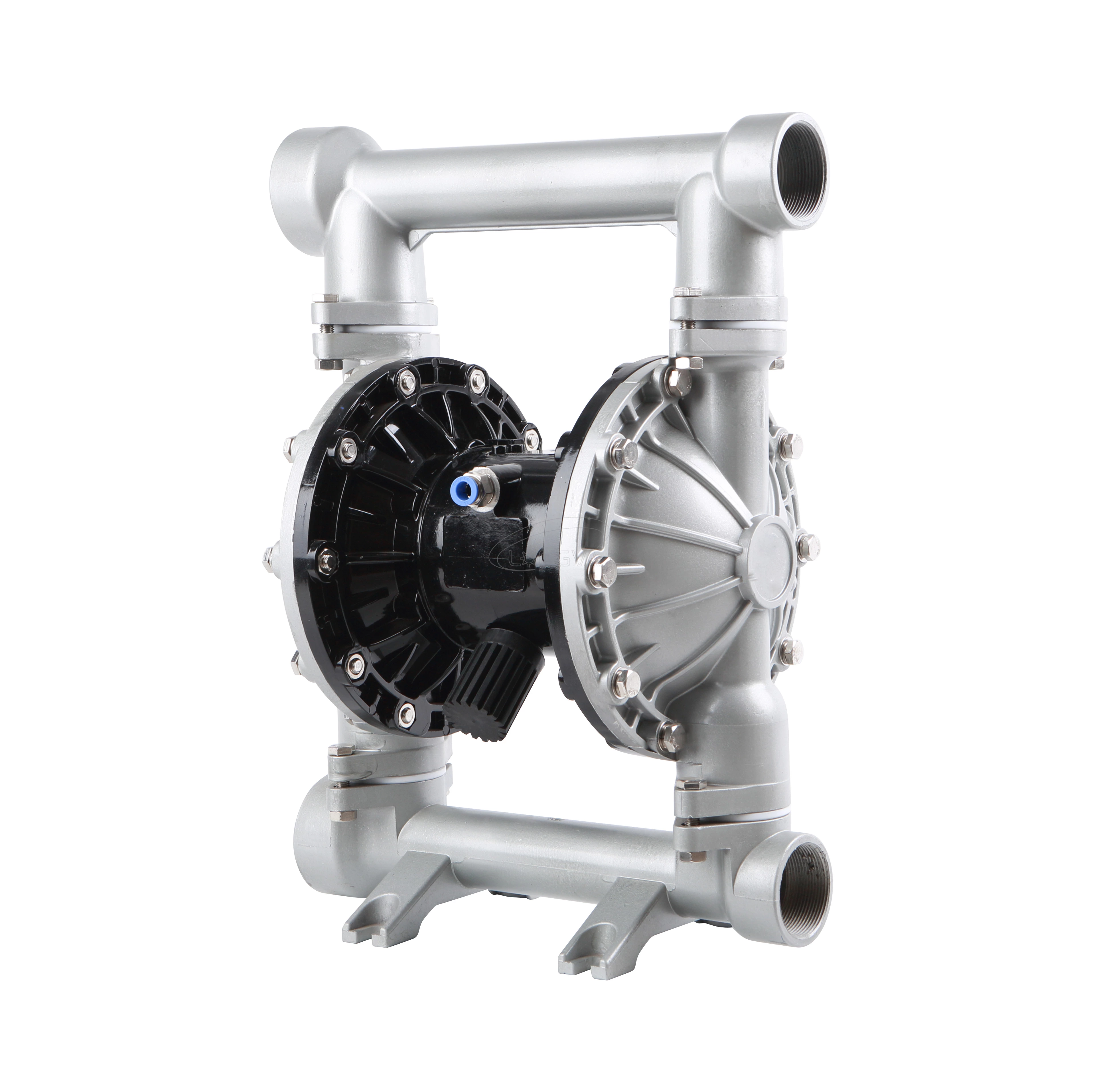Sanitary Diaphragm Pump