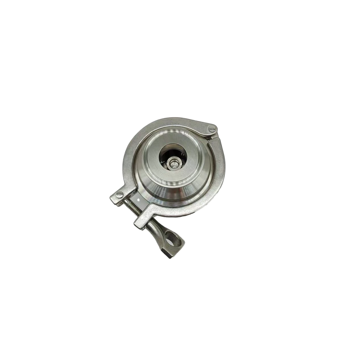 Sanitary Check Valve with Guide Rail
