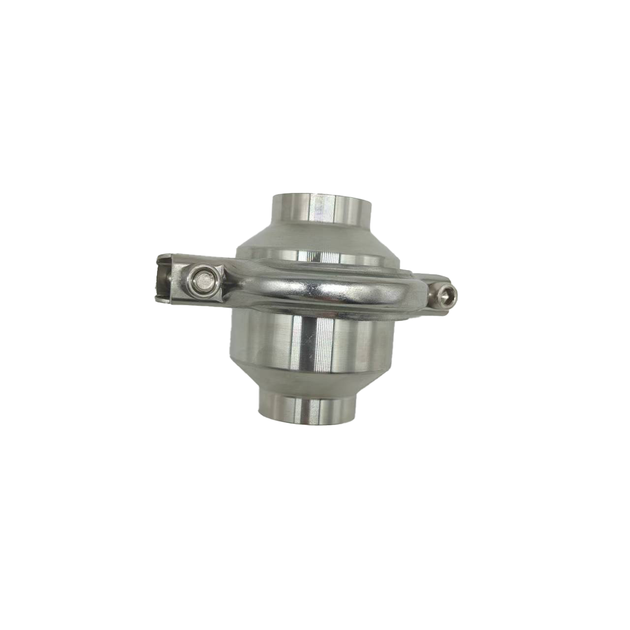 Sanitary Check Valve